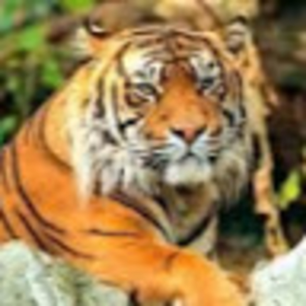 Meet your Posher, Stacey